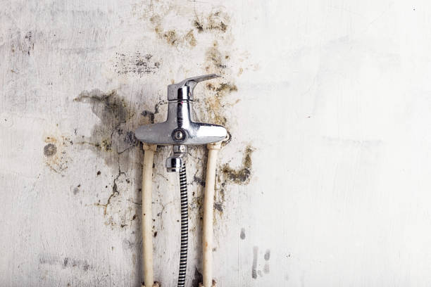 Mold Removal Process in Logan, OH