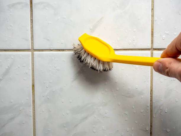 Best Home Mold Removal  in Logan, OH