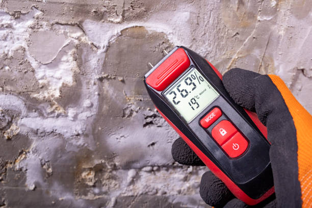 Best Commercial Mold Removal  in Logan, OH
