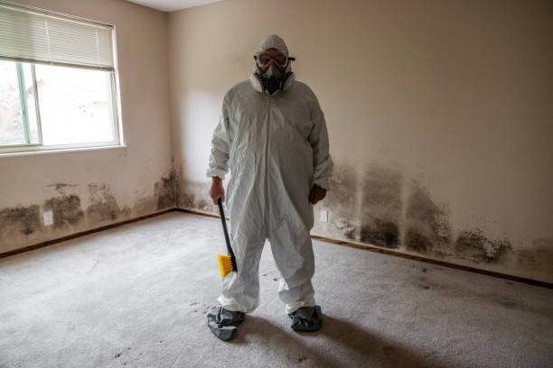 Best Mold Testing  in Logan, OH